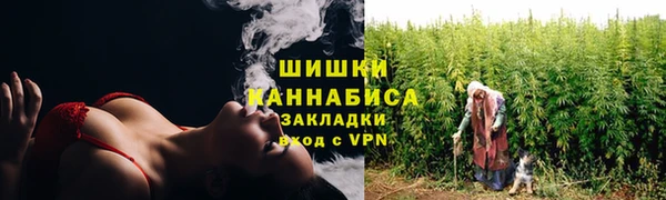 сатива Беломорск