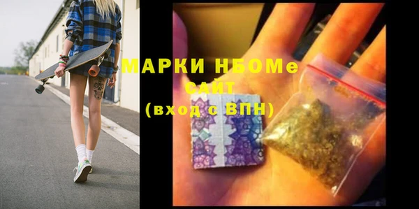 сатива Беломорск