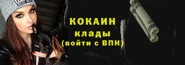 сатива Беломорск