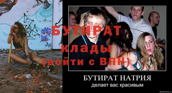 сатива Беломорск