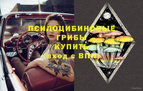 сатива Беломорск