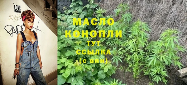 сатива Беломорск